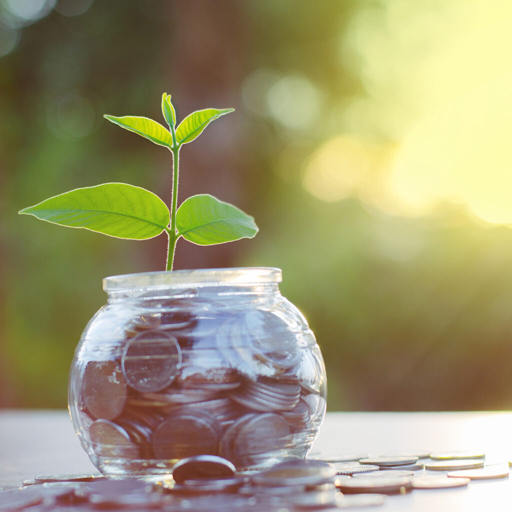 a round jar filled with coins and sprouting a stem with green leaves